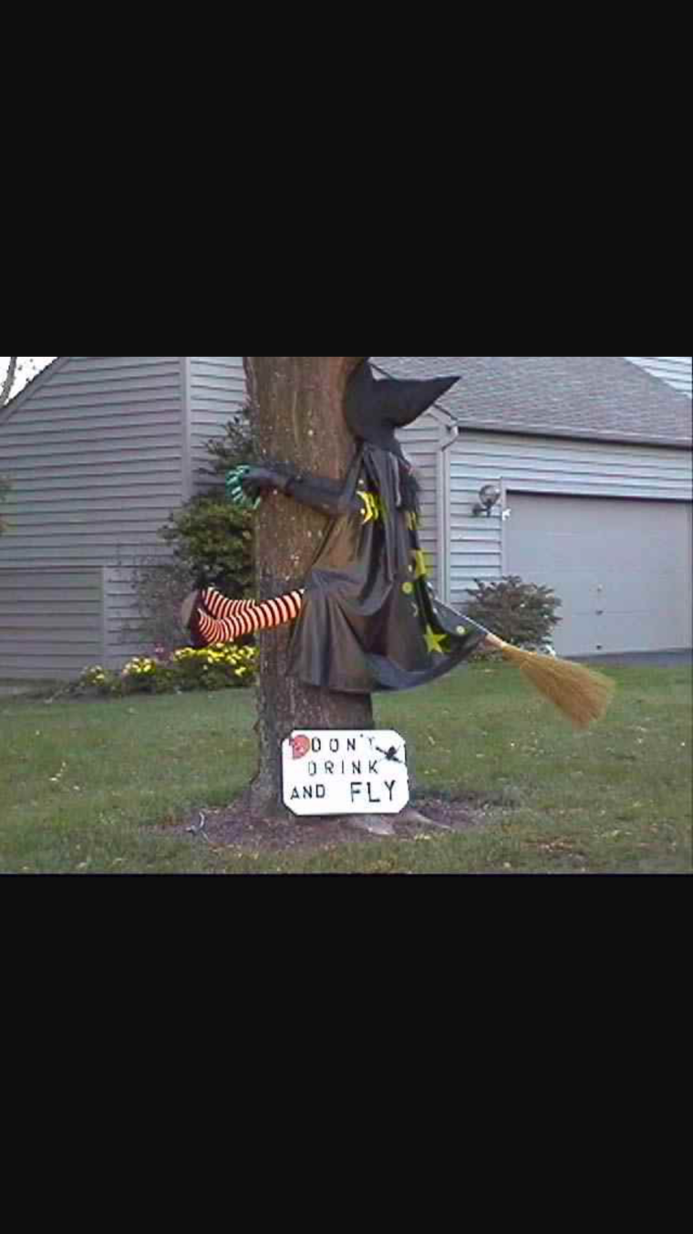 Ведьма врезалась в дерево