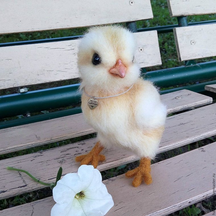 Милые животные курицы