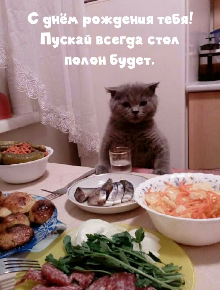 Кот за праздничным столом