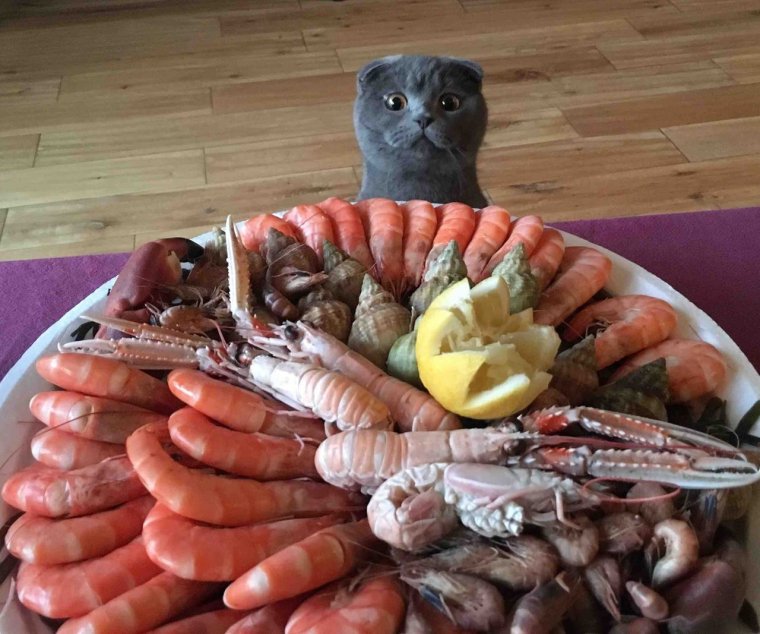 Смешное про еду