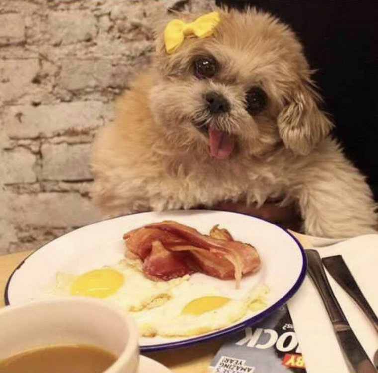 Обед прикол