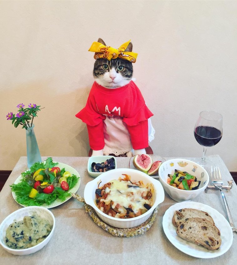 Добрый обед