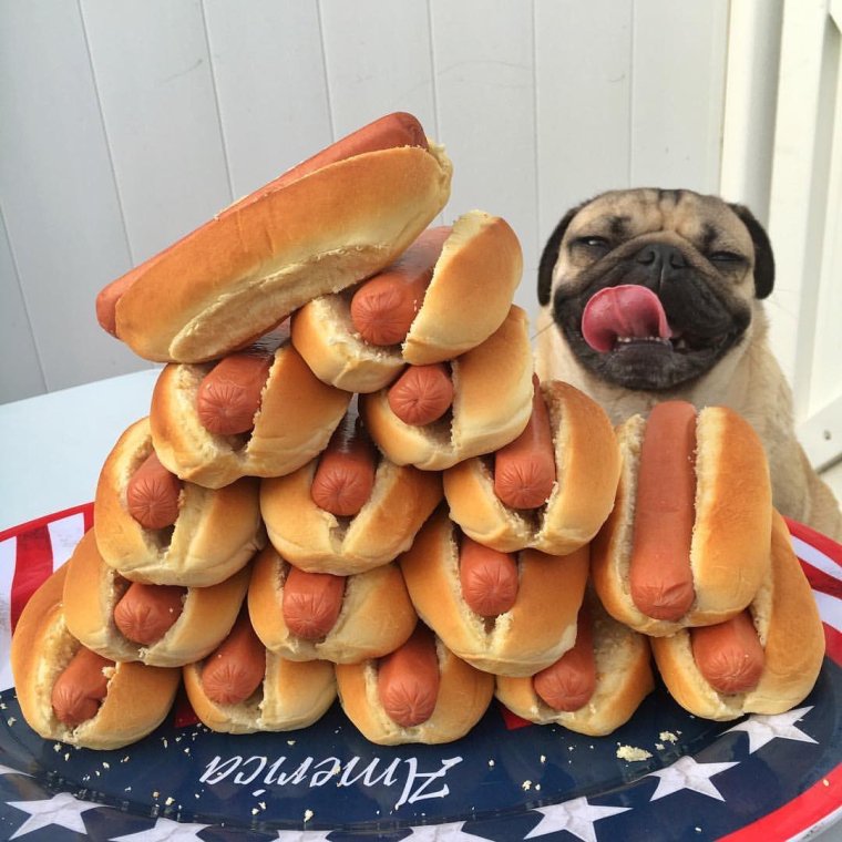 Хот дог собака