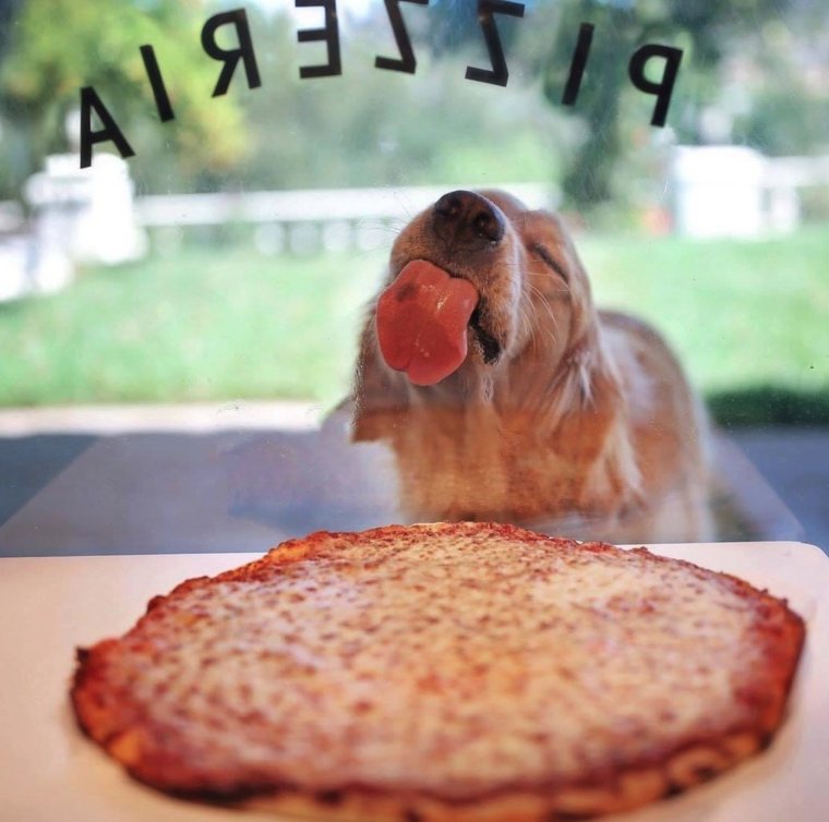 Приколы про еду