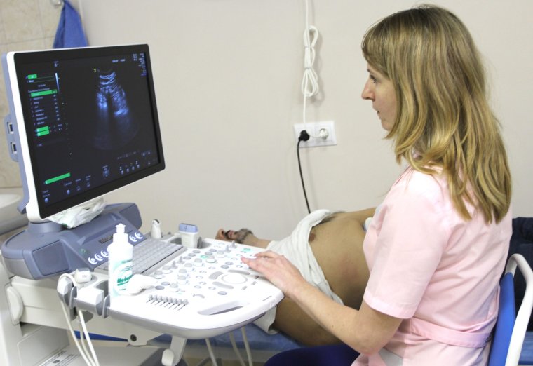 УЗИ 17 недель беременности мальчик