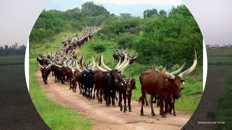 Вахтовики возвращаются домой