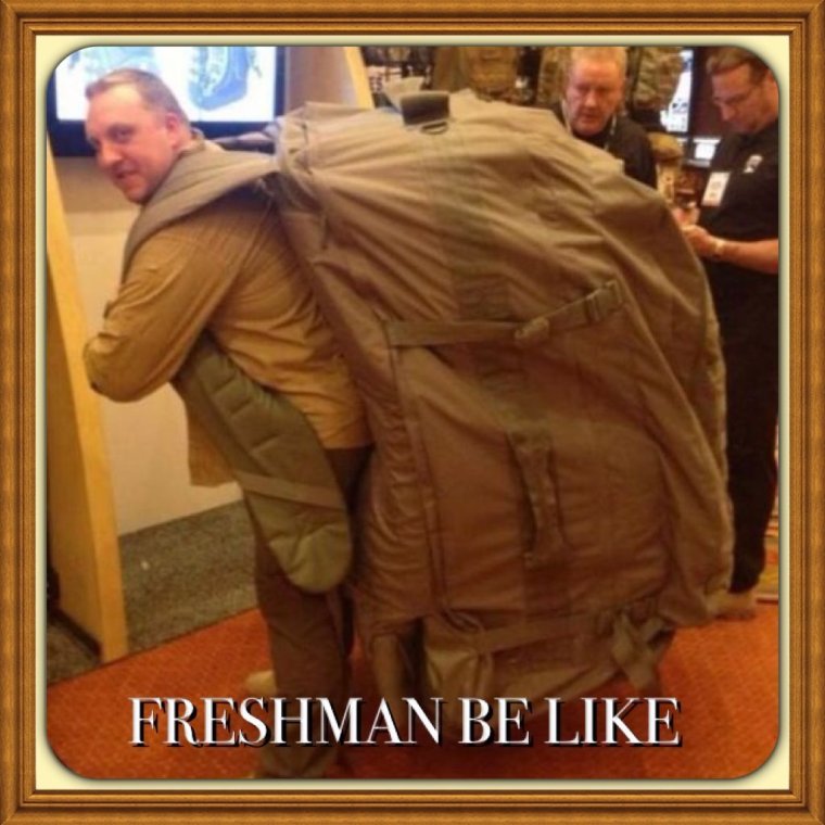 Вахта приколы