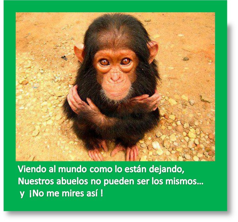 Сова открывай