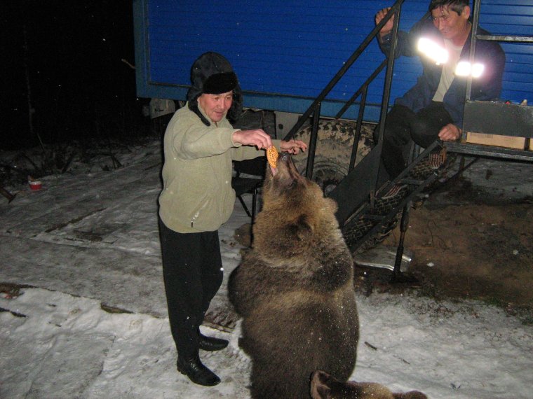 Плацкарт в поезде