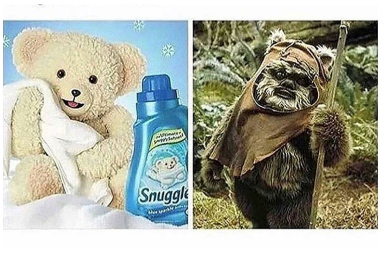 Демотиваторы с животными