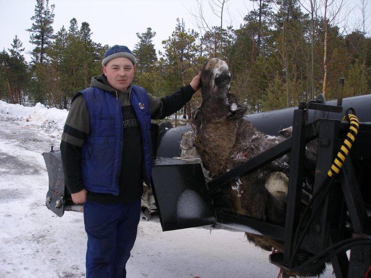 Картинки Возвращение с вахты