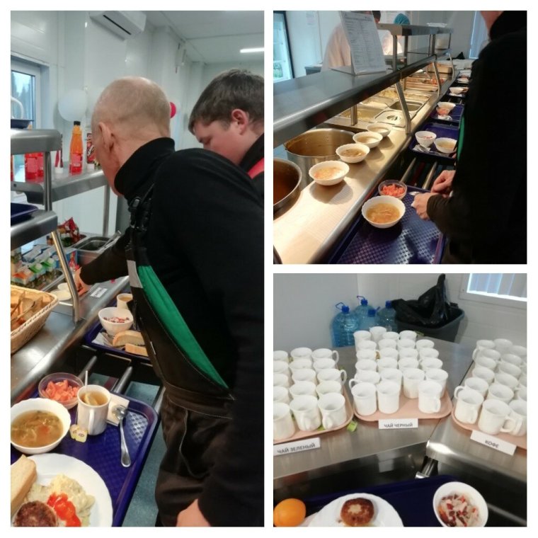 Воркута медведи