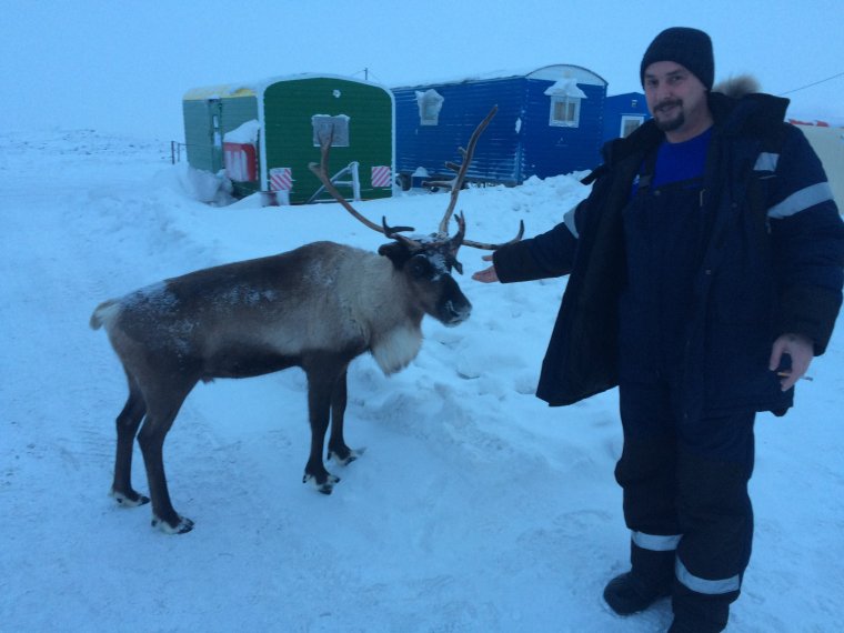 Приколы про вахтовиков на севере