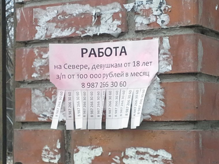 Работа на севере приколы