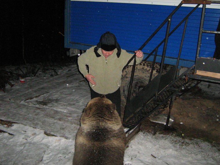 Плацкарт в поезде