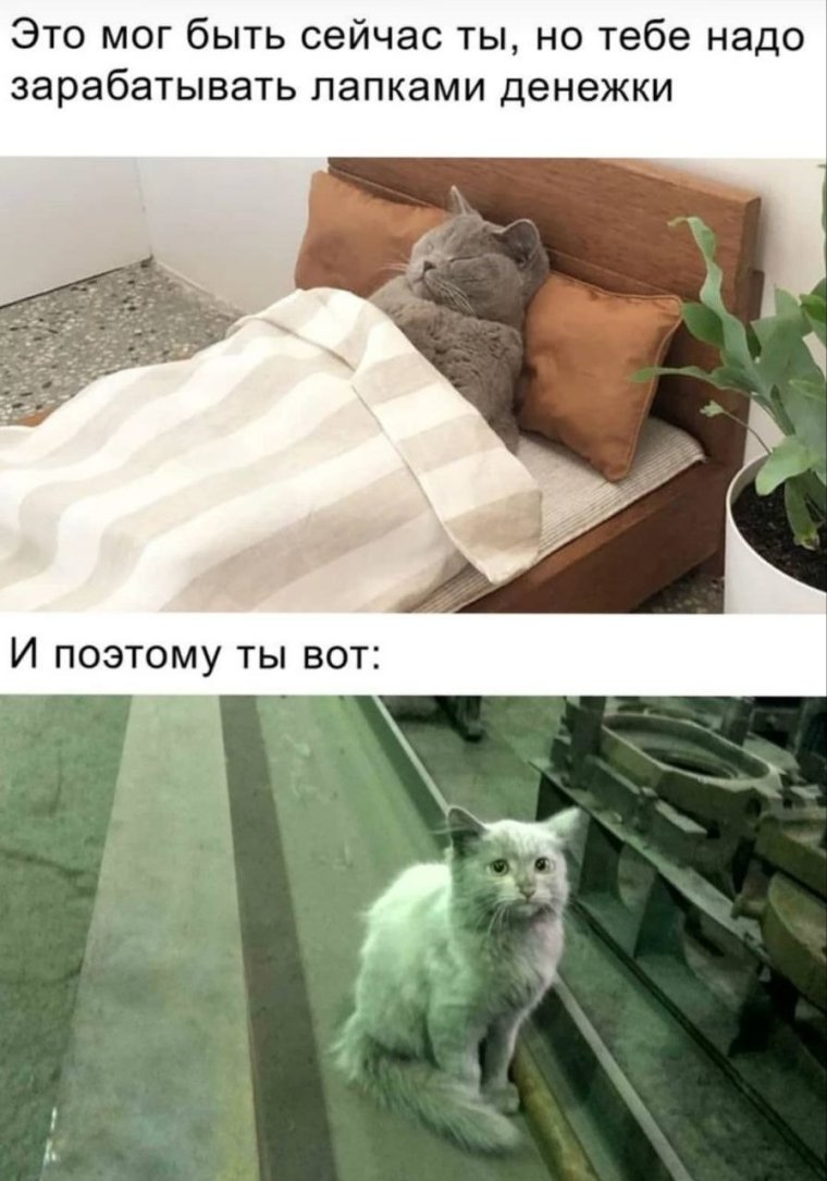 Вахтовик приехал