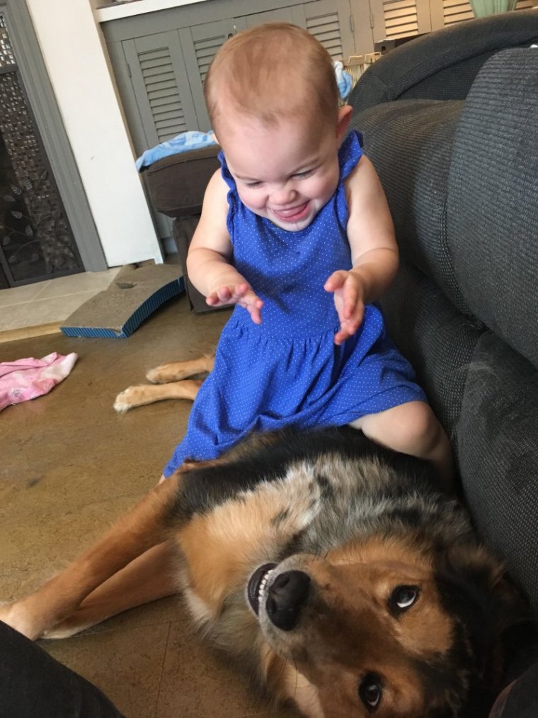 Забавные мемы про детей и животных