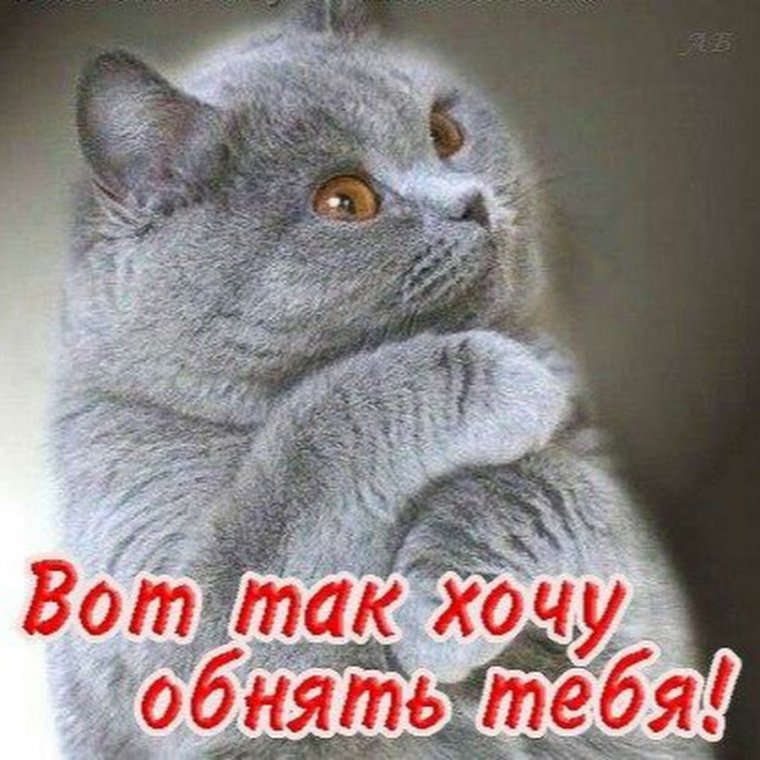 Вот так хочу тебя обнять