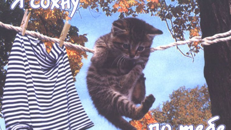 Смешные картинки скучаю по тебе