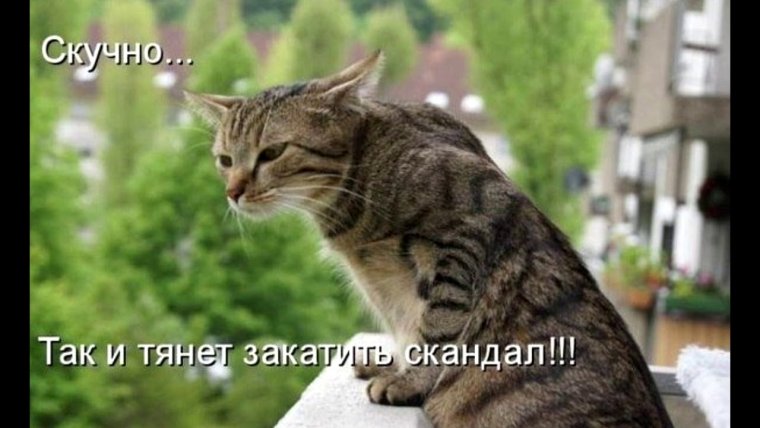 Скучно прикол