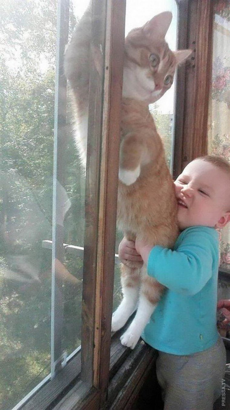 Признавайся ты скучал