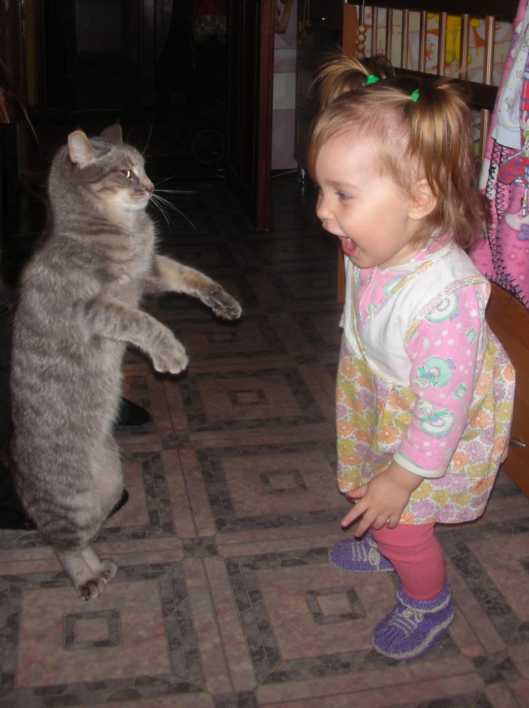 Смешное внуки приехали