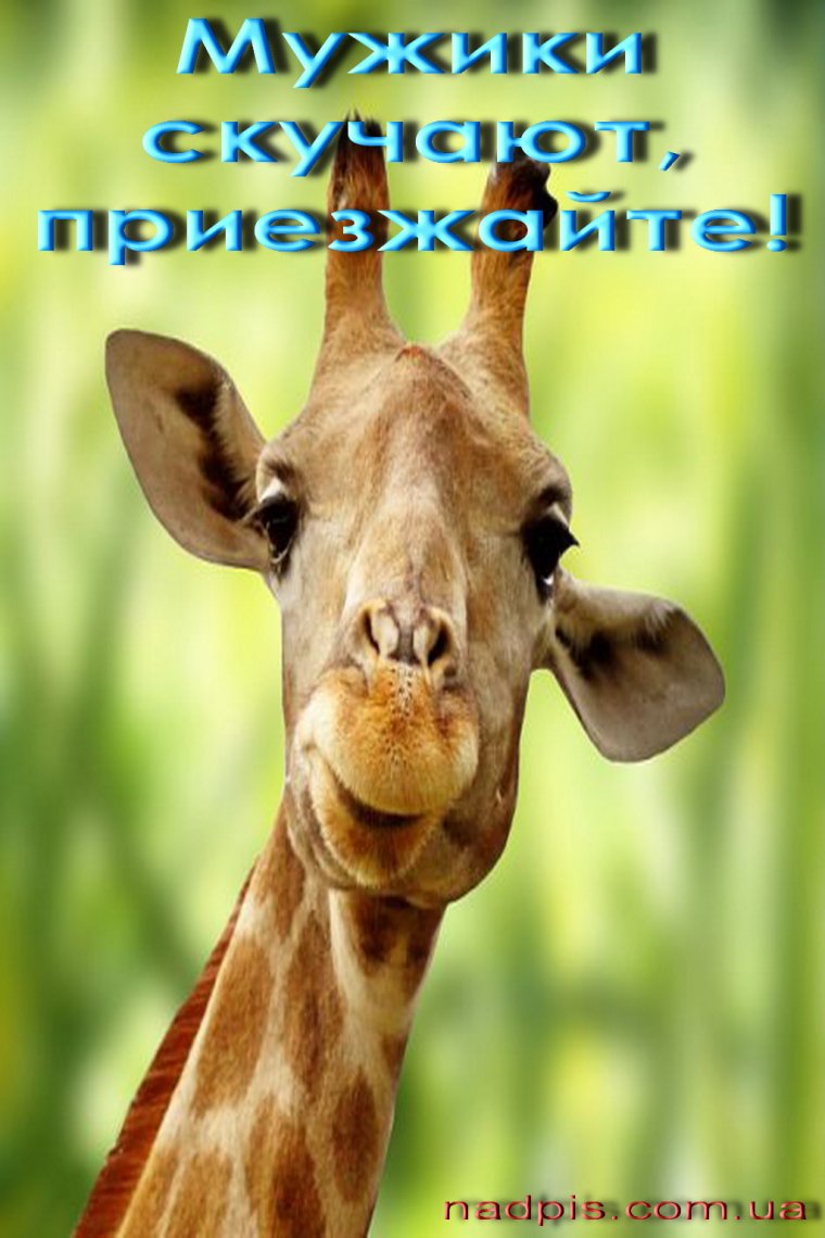 Картинки скучаю прикольные с надписями