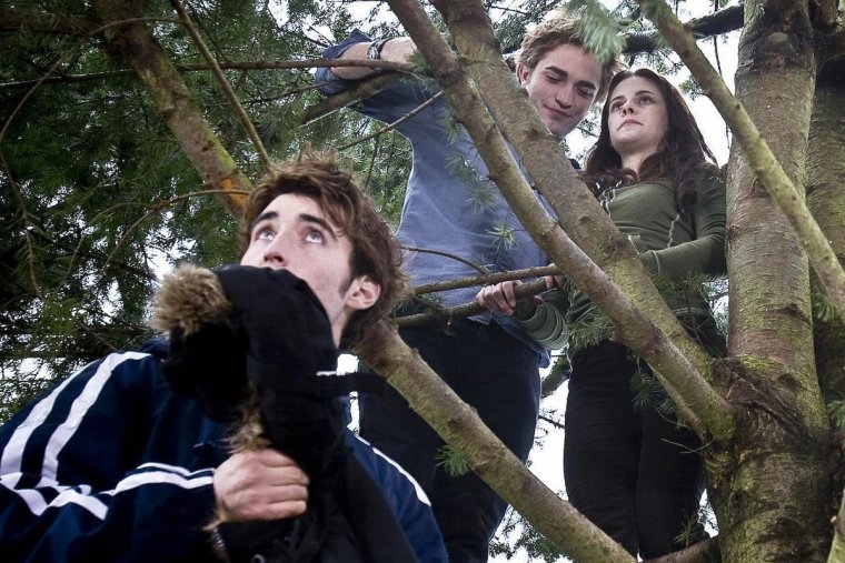 Кристен и Роб на дереве