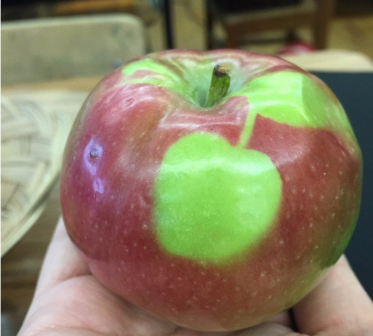 Очень яблок хочется