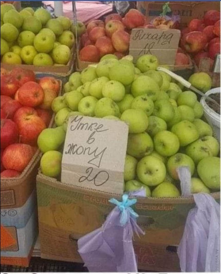 Яблоки юмор