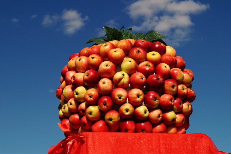 Праздник яблок