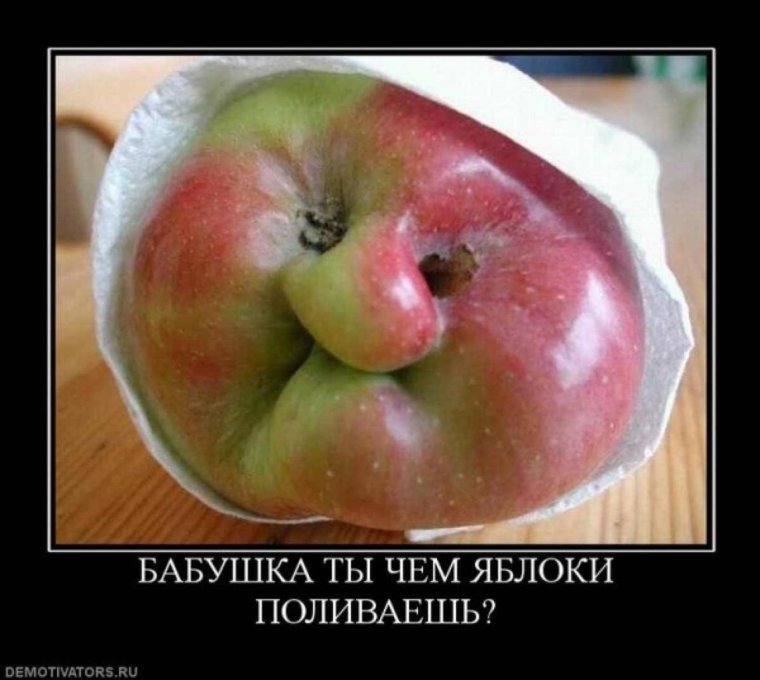 Приколы с фруктами и овощами