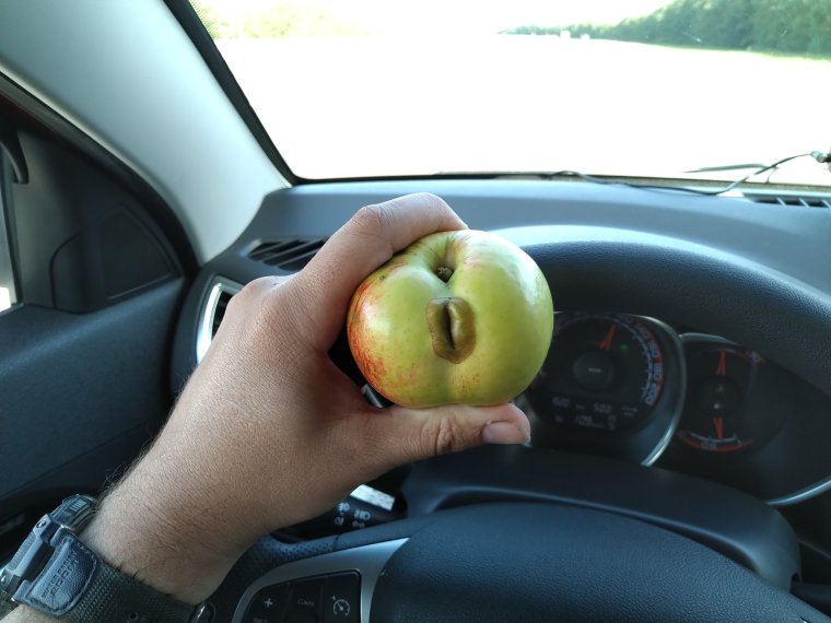 Яблоки юмор