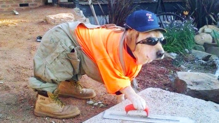 Смешной Строитель