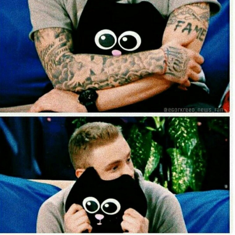 Кот Егора Крида