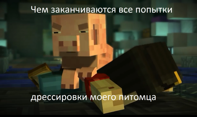 Мемы про майнкрафт