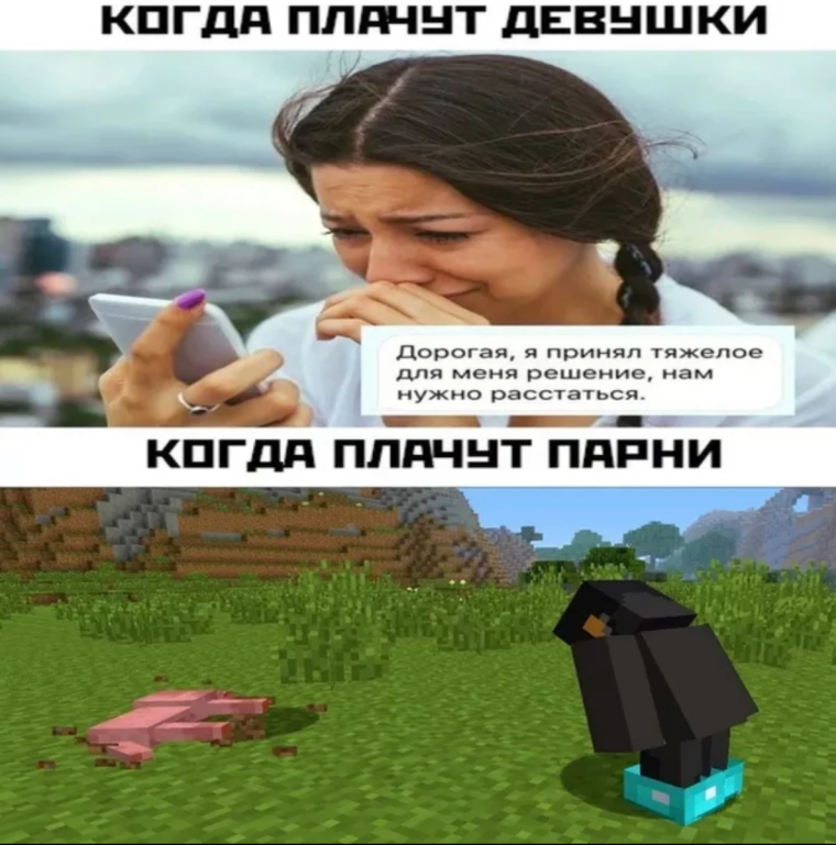 Мемы про майнкрафт