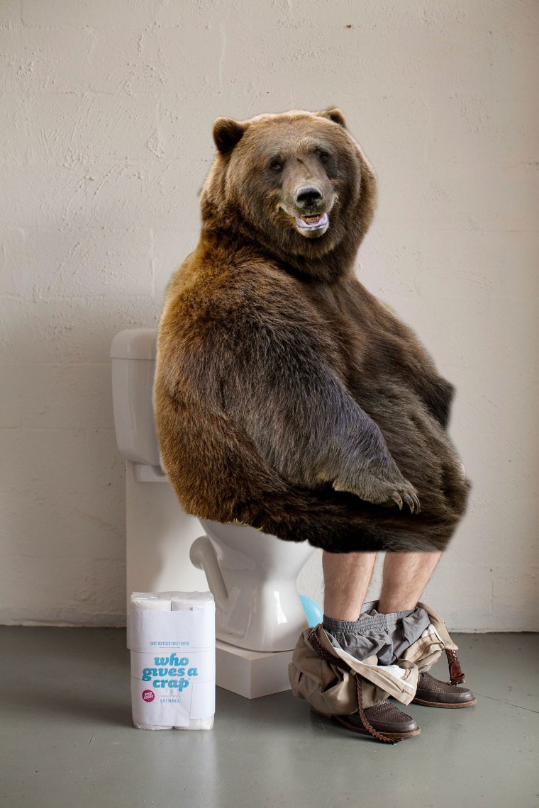 Медведь прикол