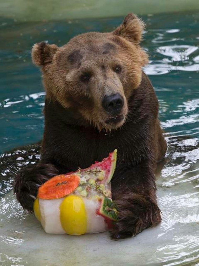 Прикольный Медвежонок