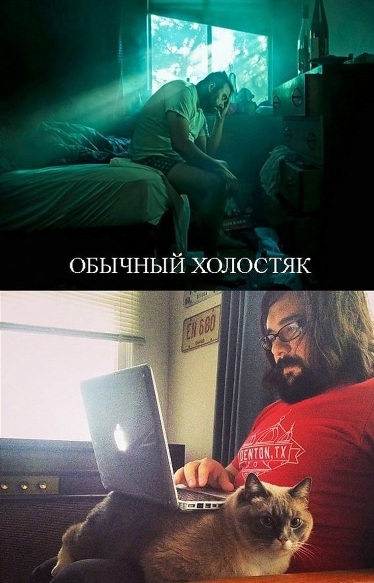 Холостяк юмор