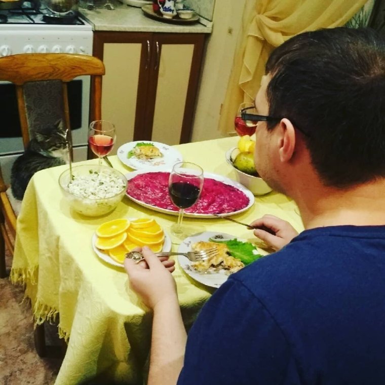 Холостяцкая жизнь