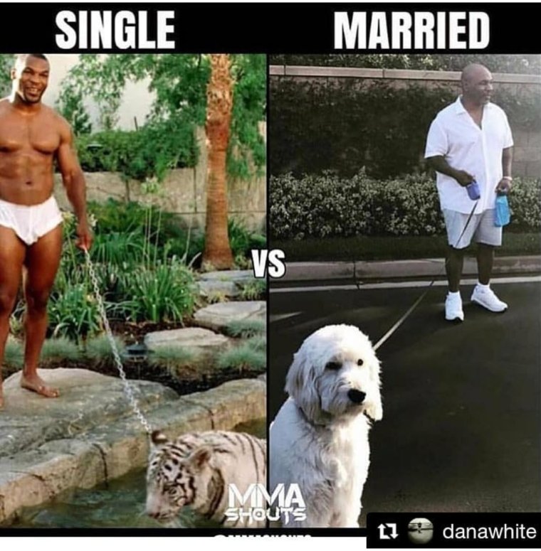 Собака майка Тайсона