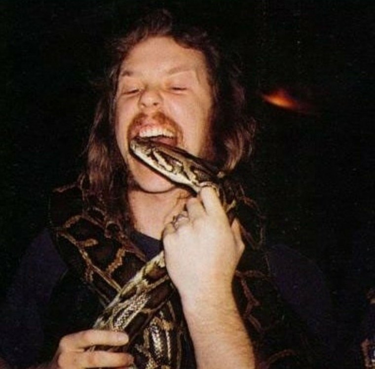 Джеймс Хэтфилд пьяный