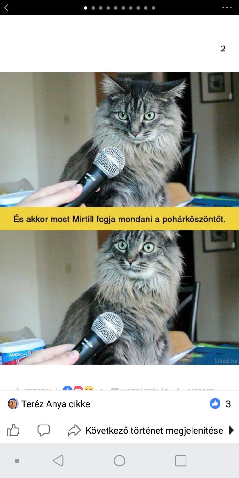 А теперь Катя скажет тост