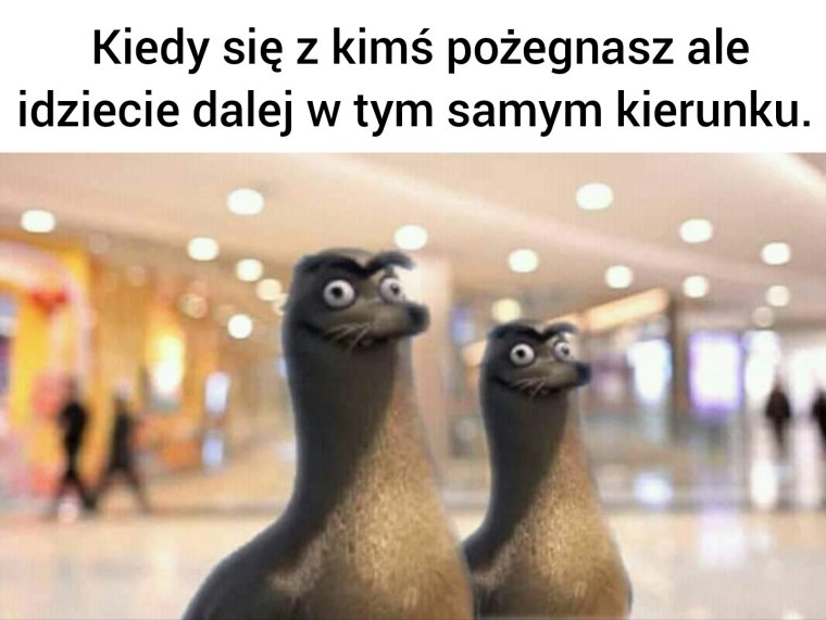 Мем когда попрощался с другом и вы идете в одну сторону