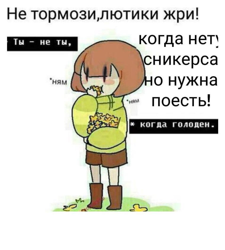 Цитаты андертейл смешные