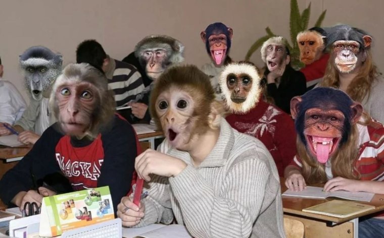 Класс обезьян