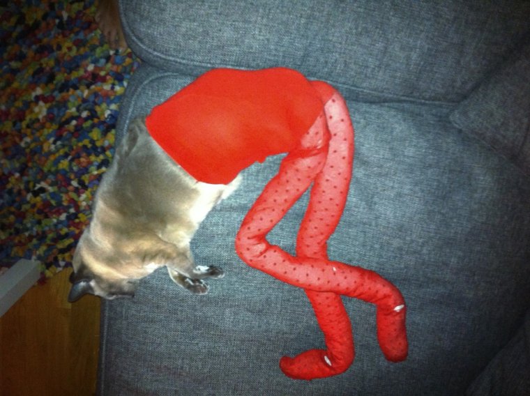 Самые смешные колготки