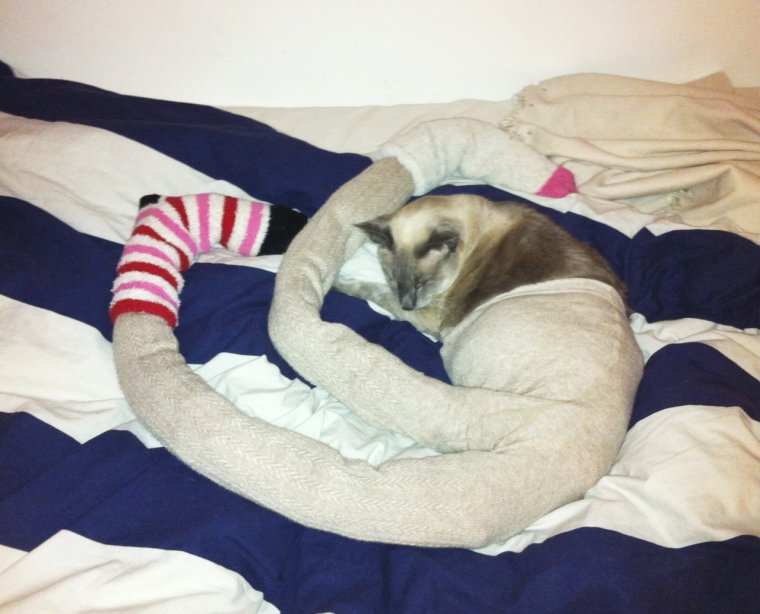 Беттина Ле бо