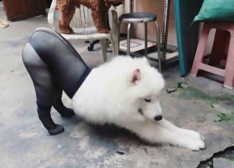 Прикольные чулки